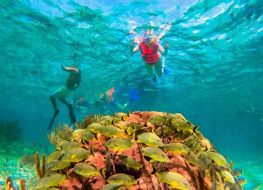 Puerto Morelos: National Reef Park Snorkeling & Beach Lunch - Guides who make the water time easier