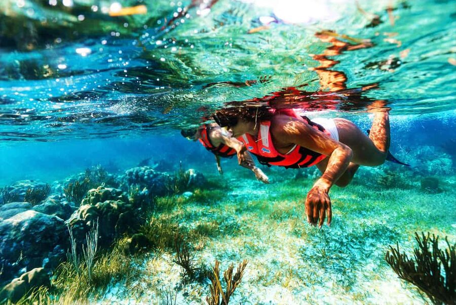 Puerto Morelos: National Reef Park Snorkeling & Beach Lunch - Tacos beside the beach, with drinks extra