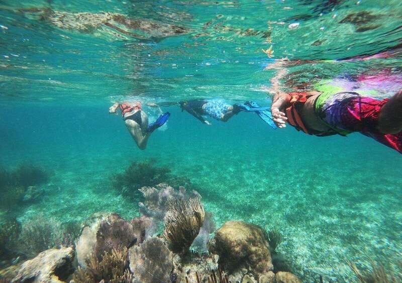 Puerto Morelos: Snorkel in Coral Reef with transportation - Key points to know before booking