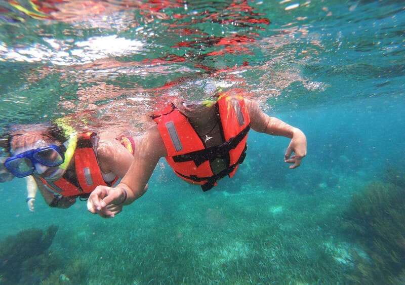 Puerto Morelos: Snorkel in Coral Reef with transportation - What the 45-minute snorkeling session is like