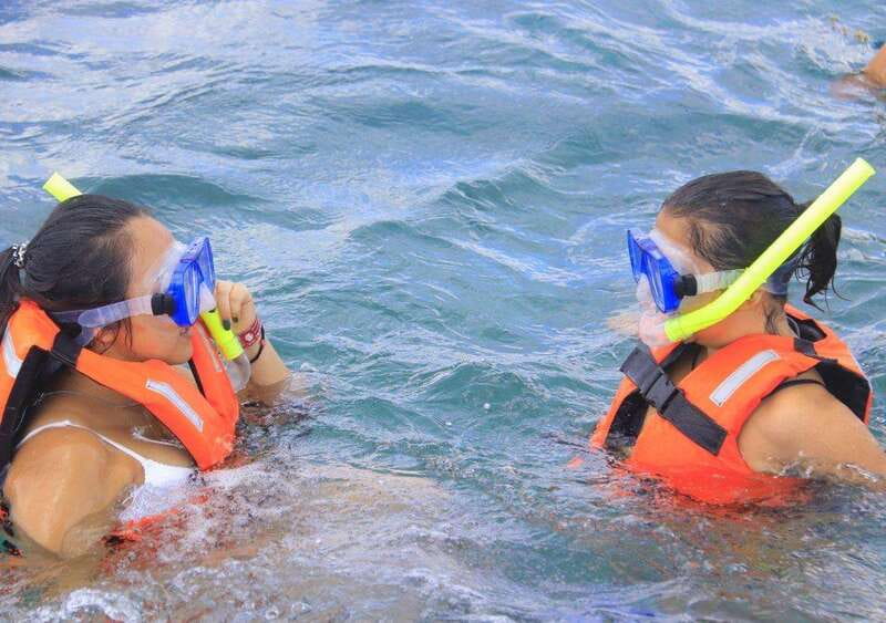 Puerto Morelos: Snorkel in Coral Reef with transportation - Tacos at the beach club