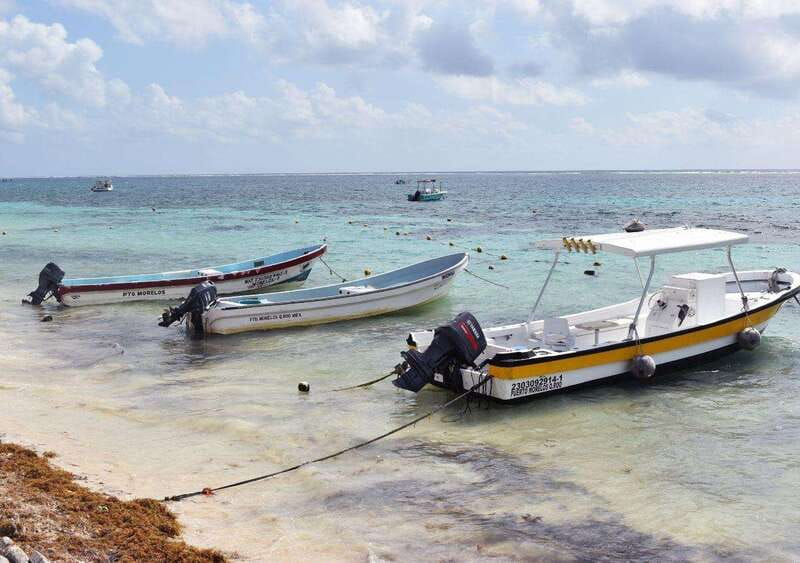 Puerto Morelos: Snorkel in Coral Reef with transportation - Is $55 a fair price?