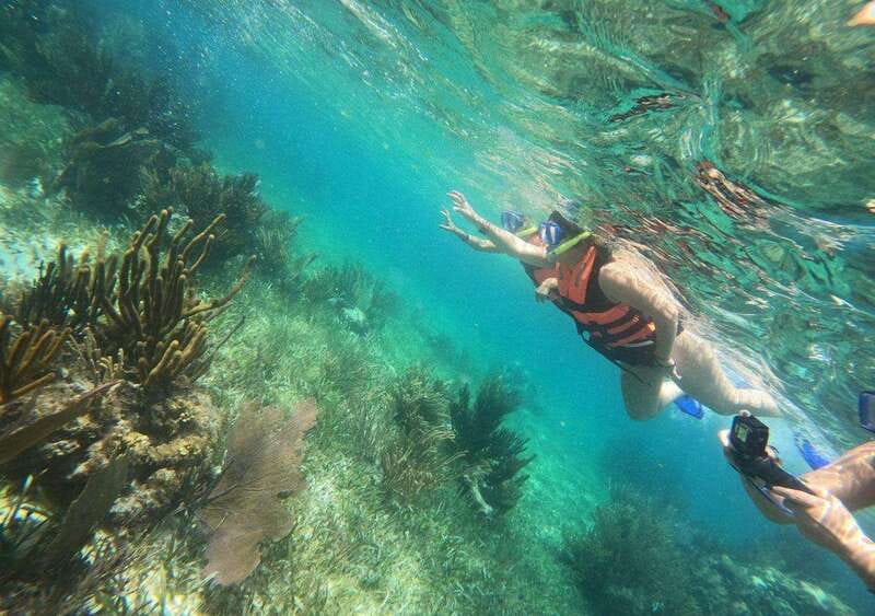 Puerto Morelos: Snorkel in Coral Reef with transportation - Who should choose this tour?