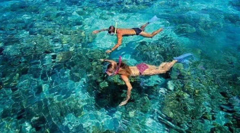 Puerto Morelos: Snorkeling at The National Reef Park - Key points to know before you book