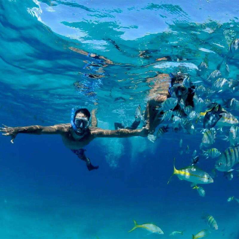 Puerto Morelos: Snorkeling at The National Reef Park - Puerto Morelos reef snorkeling at a glance