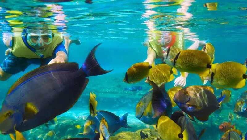 Puerto Morelos: Snorkeling at The National Reef Park - Is two hours enough?