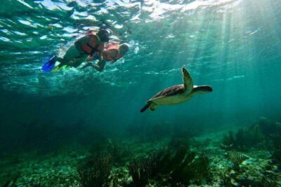 Puerto Morelos: Snorkeling Guided Activity