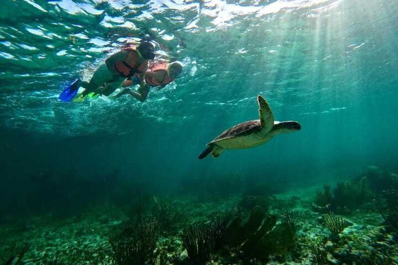 Puerto Morelos: Snorkeling Guided Activity - Booking flexibility and final practical advice