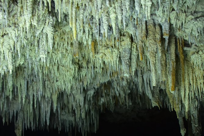 Río Secreto Playa del Carmen - What the praise gets right, and where to stay careful