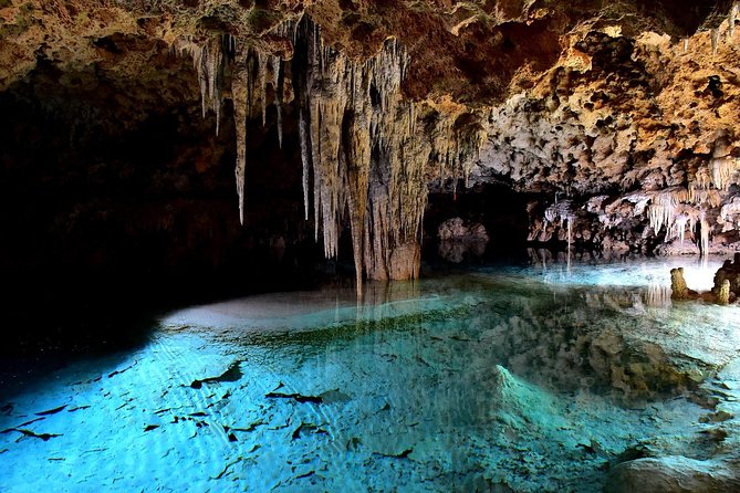 Rio Secreto Skip-the-Line Admission Ticket - Guides make a major difference