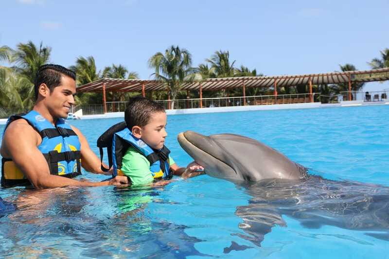 Riviera Maya: Dolphin Encounter with Beach Club Access - Who should book this experience?