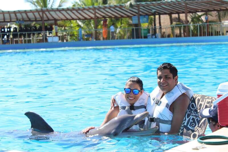 Riviera Maya: Dolphin Encounter with Beach Club Access - What the dolphin encounter is really like