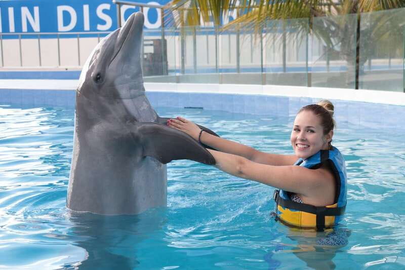 Riviera Maya: Dolphin Encounter with Beach Club Access - The price, photo rules, and total cost