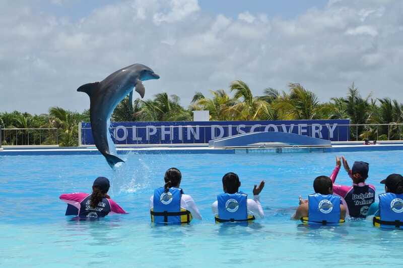 Riviera Maya: Dolphin Encounter with Beach Club Access - What to bring, and what stays behind