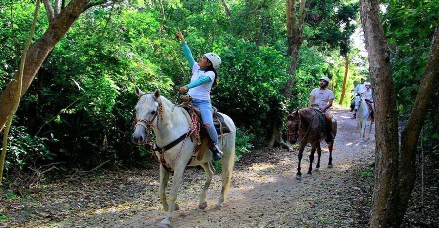 Riviera Maya: Horseback Riding at Rancho Bonanza - Riding under tropical trees