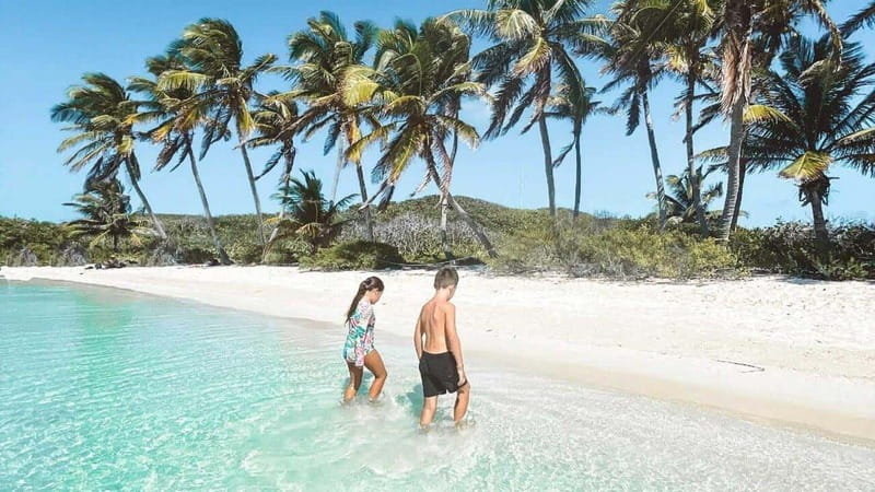 Riviera Maya: Isla Contoy and Isla Mujeres Full-Day Tour - Why Isla Contoy makes this trip worthwhile