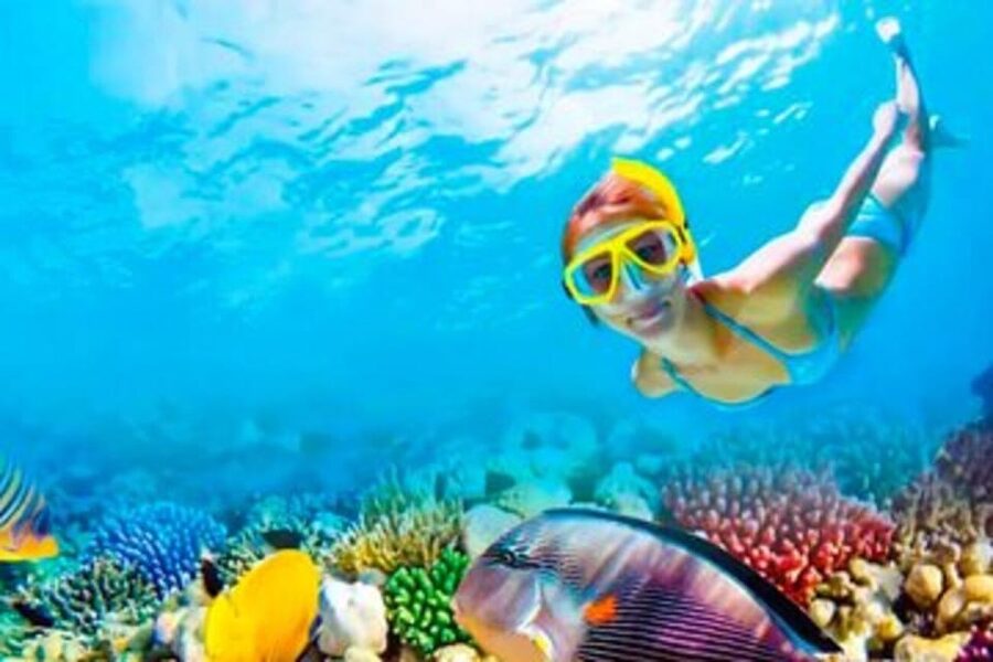 Riviera Maya: Isla Contoy and Isla Mujeres Full-Day Tour - Lunch, beach time, and the open bar
