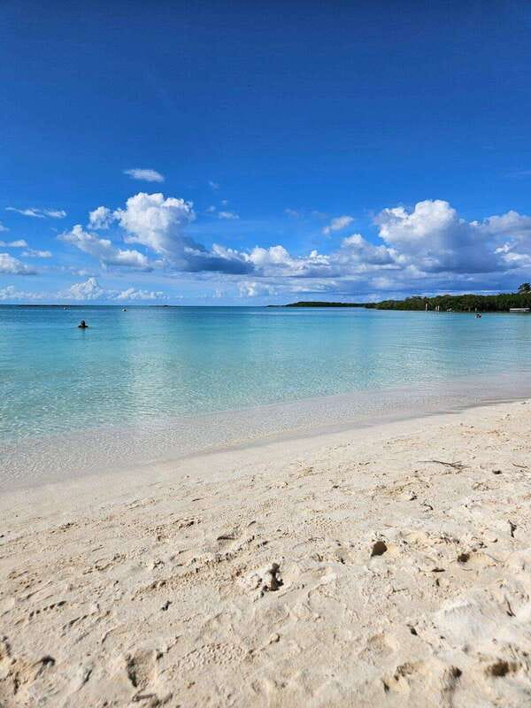 Riviera Maya: Isla Contoy and Isla Mujeres Full-Day Tour - How the $180 price adds up