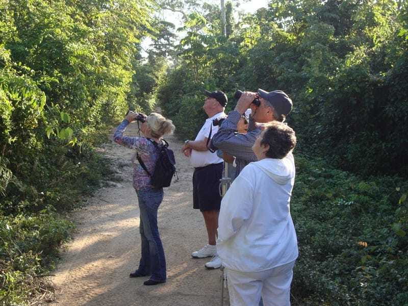 Riviera Maya: Puerto Morelos 4-Hour Bird Watching Tour - The fruit break after the morning walk
