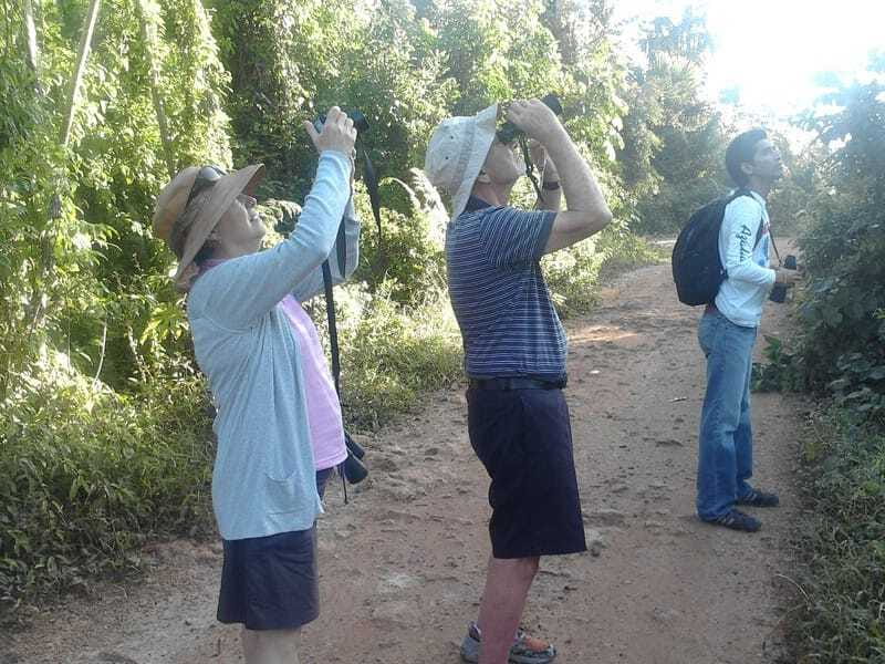 Riviera Maya: Puerto Morelos 4-Hour Bird Watching Tour - Price, private access, and fair value