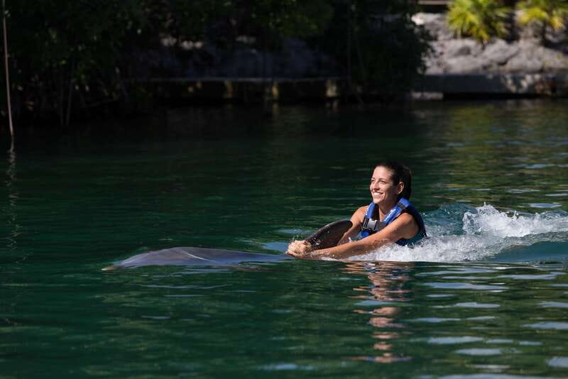 Riviera Maya: Swim with dolphins Interax - Key points at a glance