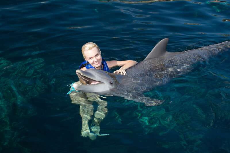 Riviera Maya: Swim with dolphins Interax - What the 14 activities add