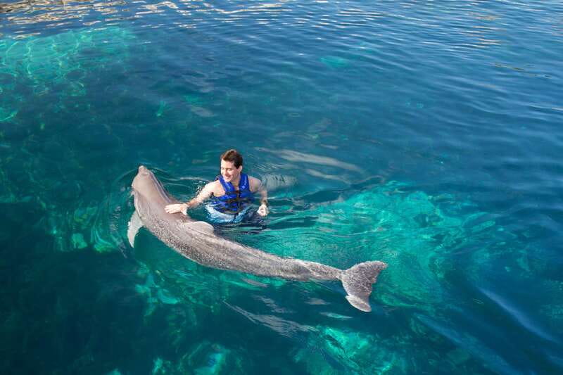 Riviera Maya: Swim with dolphins Interax - A practical look at the $138 price