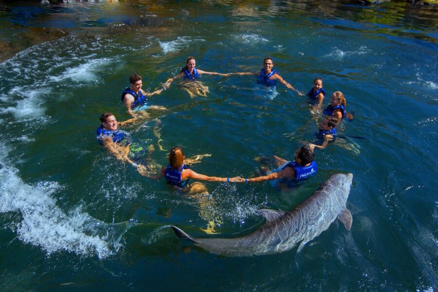 Riviera Maya: Swim with dolphins Interax - Preparing for the habitat