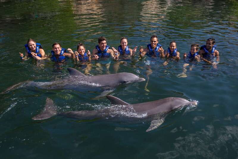 Riviera Maya: Swim with dolphins Interax - Staff, check-in, and the human side