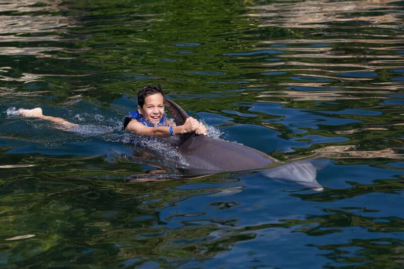 Riviera Maya: Swim with dolphins Interax - Who will enjoy this experience most