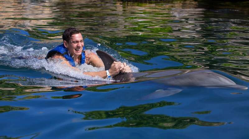 Riviera Maya: Swim with dolphins Interax - The 45-minute schedule and 30 minutes in the water