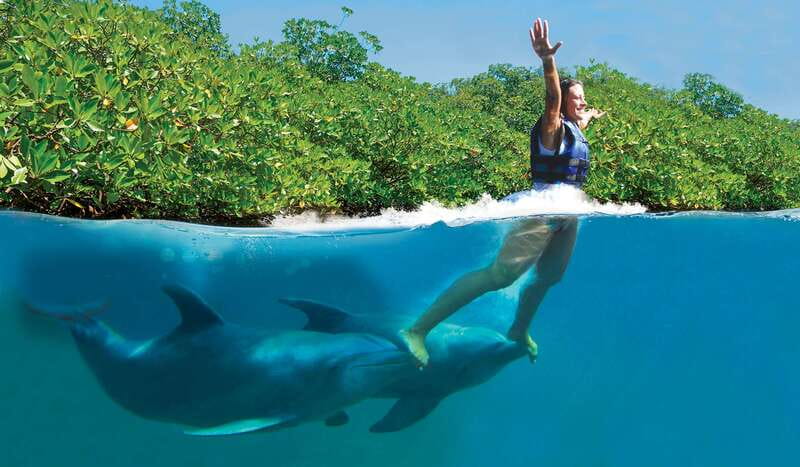 Riviera Maya: Swim with dolphins Primax - Key points to know before booking