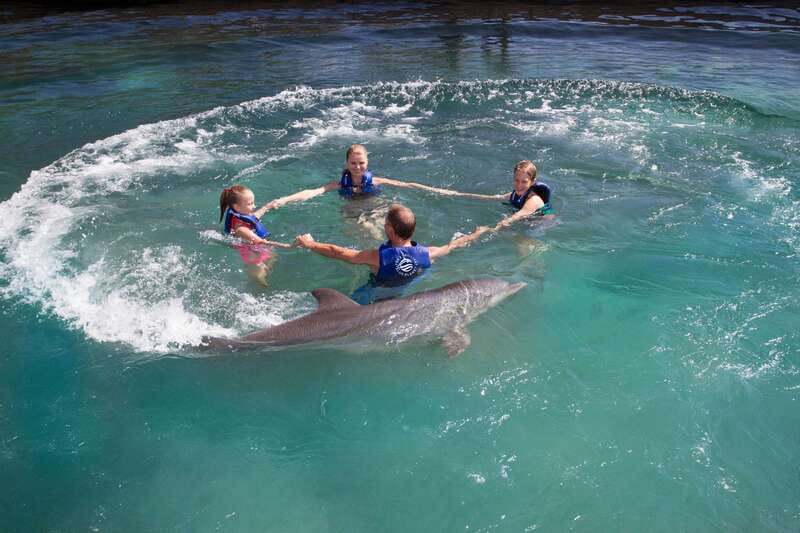 Riviera Maya: Swim with dolphins Primax - Fifteen minutes of dolphin snorkeling