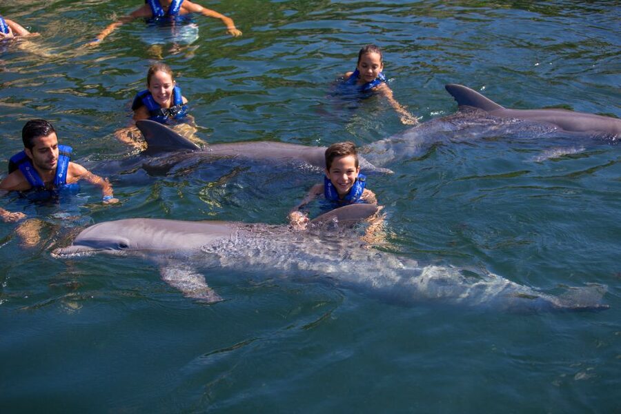 Riviera Maya: Swim with dolphins Primax - Why the no-camera rule matters