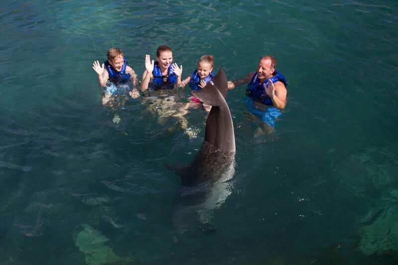 Riviera Maya: Swim with dolphins Primax - Is $197 per person good value?