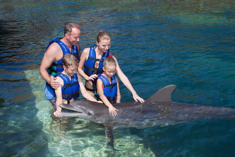 Riviera Maya: Swim with dolphins Primax - Who will enjoy this most
