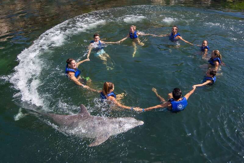 Riviera Maya: Swimming Experience with Dolphins - Why the small group size helps