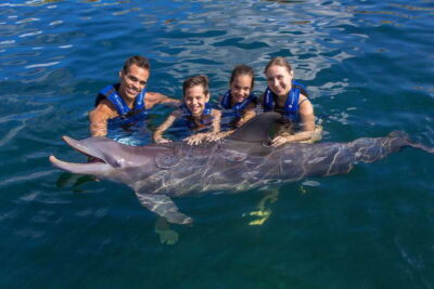 Riviera Maya: Swimming Experience with Dolphins