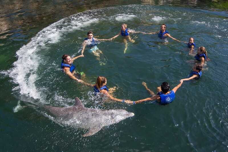 Riviera Maya: Swimming Experience with Dolphins - The educational side of the encounter