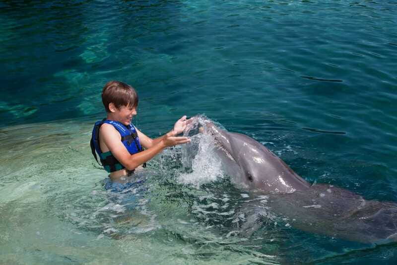 Riviera Maya: Swimming Experience with Dolphins - Photos, phones, and the cost of a souvenir