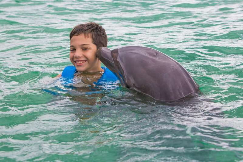 Riviera Maya: Swimming Experience with Dolphins - Is $127 a fair price?