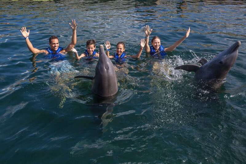 Riviera Maya: Swimming Experience with Dolphins - Who will enjoy this most?