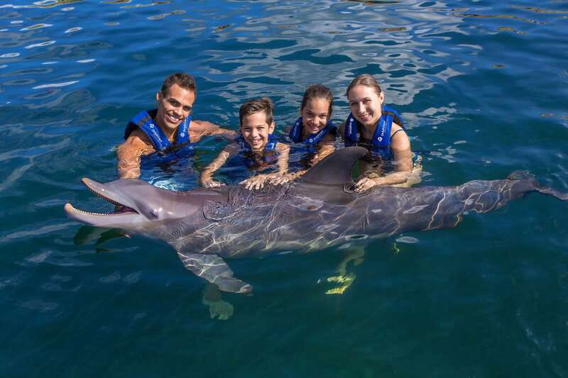 Riviera Maya: Swimming Experience with Dolphins - Close contact, but not an open-water swim