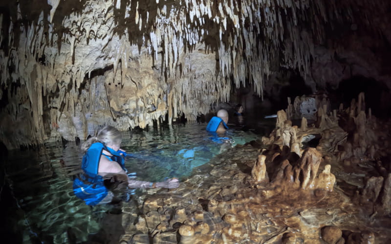 Riviera Maya: Tulum Ruins Tour, Turtle Swimming, Cenotes, and Lunch. - The van rides and group size