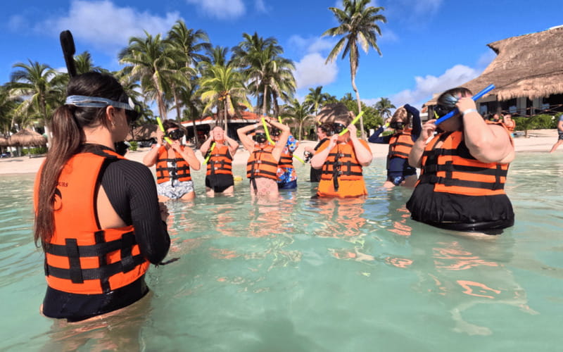 Riviera Maya: Tulum Ruins Tour, Turtle Swimming, Cenotes, and Lunch. - Who should book this day