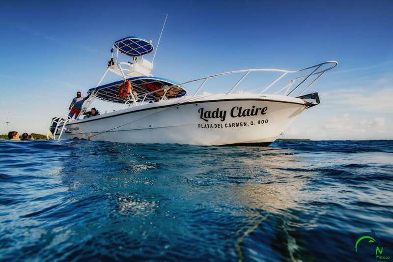 Scuba Dive in Playa del Carmen - 2 Dives (Certified divers) - One hour underwater, then a surface break