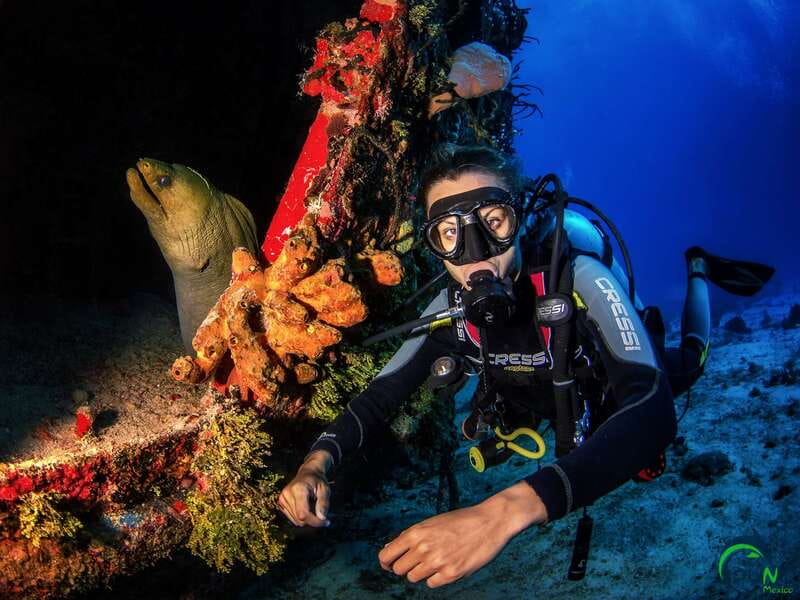 Scuba Dive in Playa del Carmen - 2 Dives (Certified divers) - What to bring and what to arrange