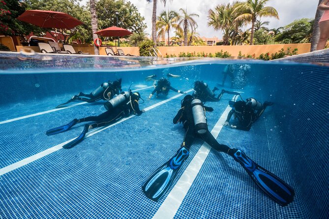 Scuba Diving for Beginners – Tulum Dive Machine - Casa Cenote gives beginners a gentle start