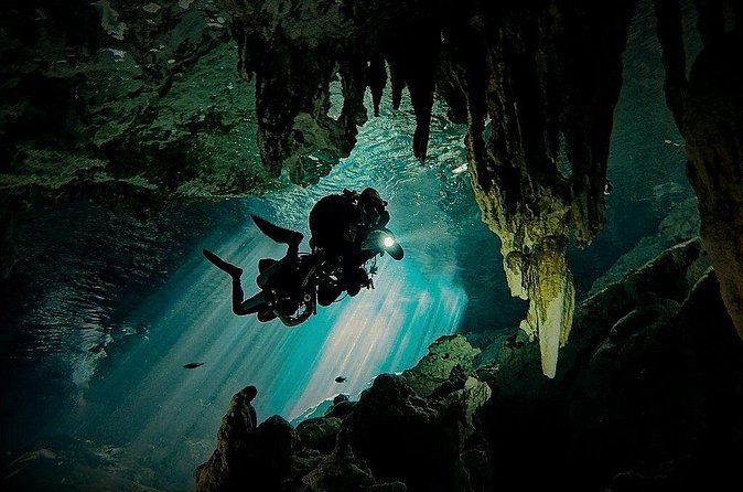 Scuba Diving in Cenote Dos Ojos from Playa del Carmen - Bat Cave and Barbie Line: two different underwater routes