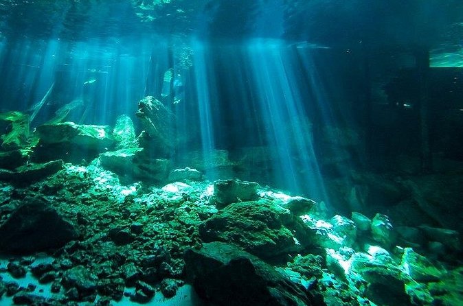 Scuba Diving in Cenote Dos Ojos from Playa del Carmen - What the price includes, and what it does not